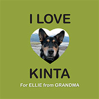 I Love Kinta cover